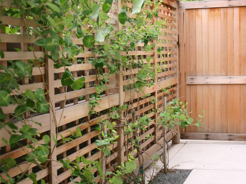 5_Warner Arts & Crafts