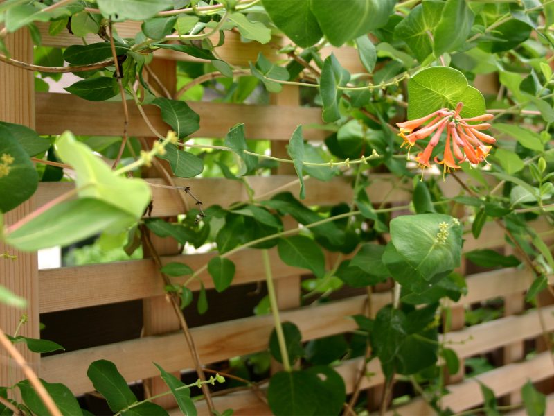 6_Warner Arts & Crafts